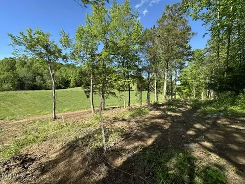 Tba Kingdom Rd, Duffield, VA 24244 photo 9