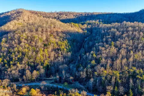 1028 E Pumpkin Valley Road Eidson Tn 37731, Eidson, TN 37731