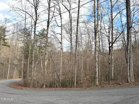 lot S 67 Skyline Drive Bristol Tn 37620, Bristol, TN 37620