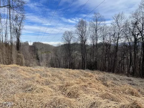 Undisclosed, Bristol, VA 24202 photo 10