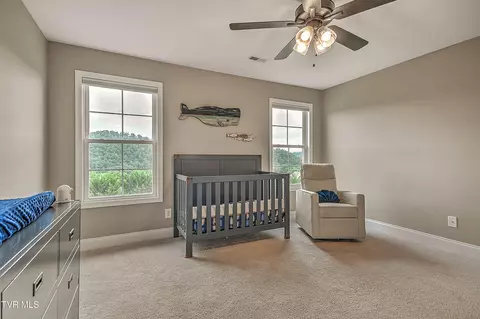 4091 Maize Place Piney Flats Tn 37686, Piney Flats, TN 37686 photo 45