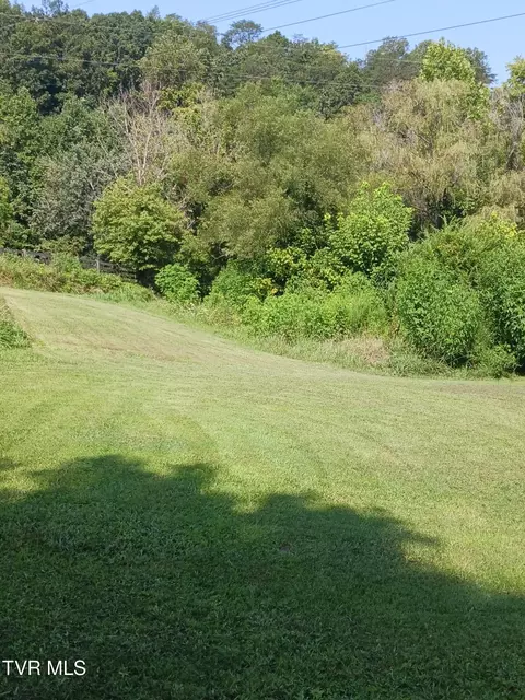 424 Buzzard Roost Road Bulls Gap Tn 37711, Bulls Gap, TN 37711