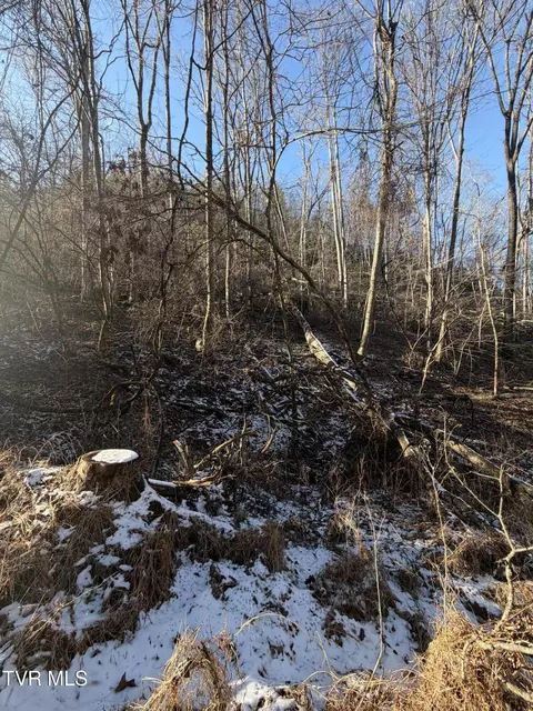 tbd W Of Williams Lane Butler Tn 37640, Butler, TN 37640