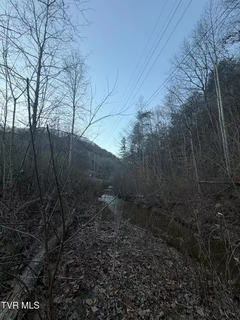 tbd Highway 25e Bean Station Tn 37708, Bean Station, TN 37708