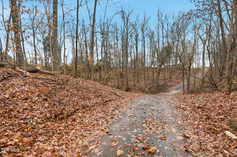 tbd Bayhill Drive Piney Flats Tn 37686, Piney Flats, TN 37686