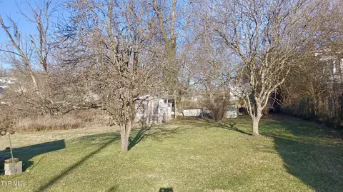 Exterior - 209 Madison Street Bristol Va 24201, Bristol, VA 24201 photo 19 of 22