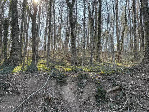 lot S 1-4 Bishop Hollow Road Elizabethton Tn 37643, Elizabethton, TN 37643