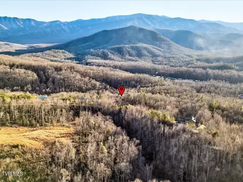 lot31 Sonshine Ridge Road Cosby Tn 37722, Cosby, TN 37722