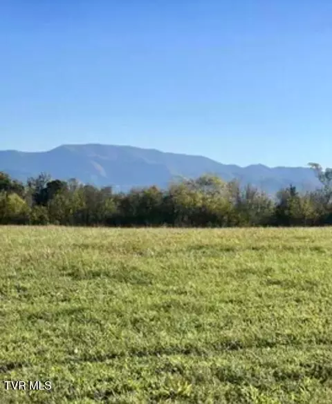 185 Lester Snapp Road Lot 1 Limestone Tn 37681, Limestone, TN 37681
