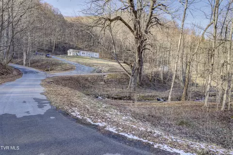 Exterior - 406 Mathis Road Flag Pond Tn 37657, Flag Pond, TN 37657 photo 18 of 20