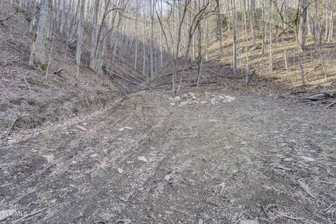 Other - 406 Mathis Road Flag Pond Tn 37657, Flag Pond, TN 37657 photo 11 of 24