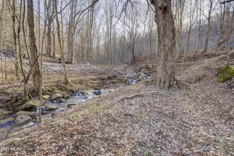 Exterior - 406 Mathis Road Flag Pond Tn 37657, Flag Pond, TN 37657 photo 14 of 20