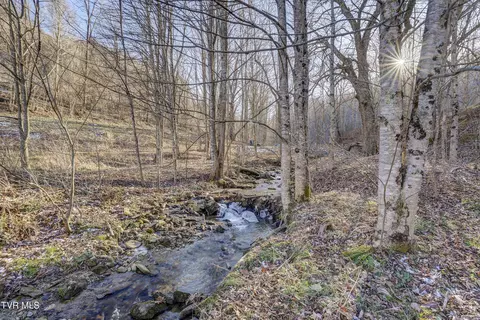 Other - 406 Mathis Road Flag Pond Tn 37657, Flag Pond, TN 37657 photo 16 of 24