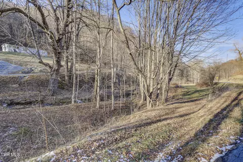 Exterior - 406 Mathis Road Flag Pond Tn 37657, Flag Pond, TN 37657 photo 17 of 20