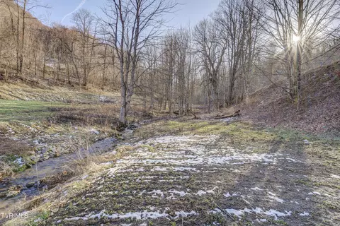 Exterior - 406 Mathis Road Flag Pond Tn 37657, Flag Pond, TN 37657 photo 13 of 20