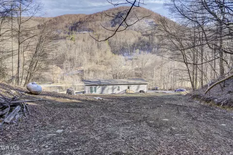 Exterior - 406 Mathis Road Flag Pond Tn 37657, Flag Pond, TN 37657 photo 8 of 20
