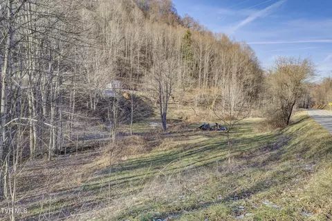 Other - 406 Mathis Road Flag Pond Tn 37657, Flag Pond, TN 37657 photo 17 of 24