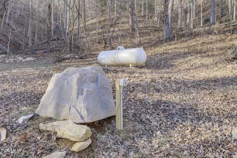 Exterior - 406 Mathis Road Flag Pond Tn 37657, Flag Pond, TN 37657 photo 7 of 20