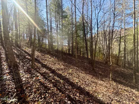 11 Ac Tbd Hwy 19e Hampton Tn 37658, Hampton, TN 37658 photo 3