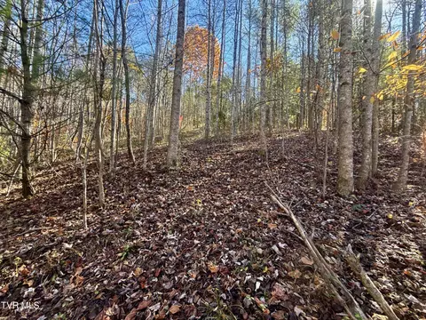11 Ac Tbd Hwy 19e Hampton Tn 37658, Hampton, TN 37658 photo 2