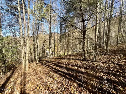 11 Ac Tbd Hwy 19e Hampton Tn 37658, Hampton, TN 37658 photo 5