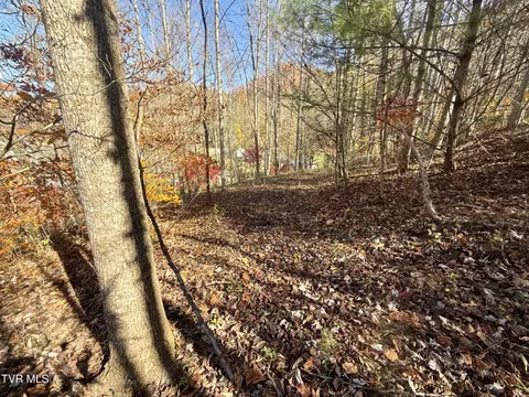11 Ac Tbd Hwy 19e Hampton Tn 37658, Hampton, TN 37658