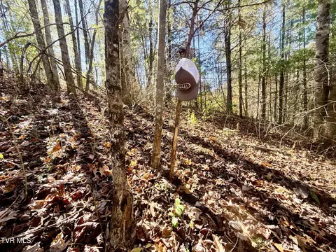 11 Ac Tbd Hwy 19e Hampton Tn 37658, Hampton, TN 37658 photo 6