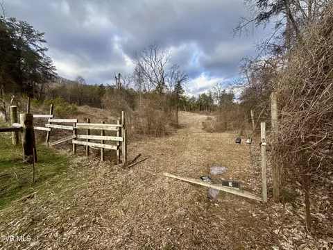 25 Ac Tbd Coy Bradley Lane Bulls Gap Tn 37711, Bulls Gap, TN 37711