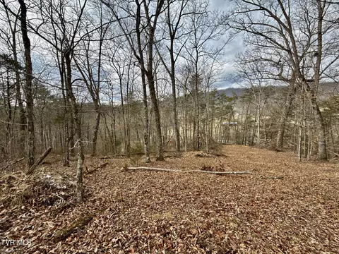 25 Ac Tbd Horton Highway Chuckey Tn 37641, Chuckey, TN 37641