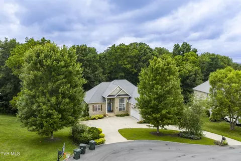 View/Area - 194 Sunset Meadows Court Gray Tn 37615, Gray, TN 37615 photo 1 of 7