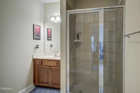 Bath - 194 Sunset Meadows Court Gray Tn 37615, Gray, TN 37615 photo 6 of 6