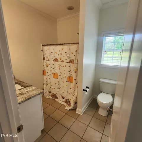 Bath - 194 Sunset Meadows Court Gray Tn 37615, Gray, TN 37615 photo 4 of 6