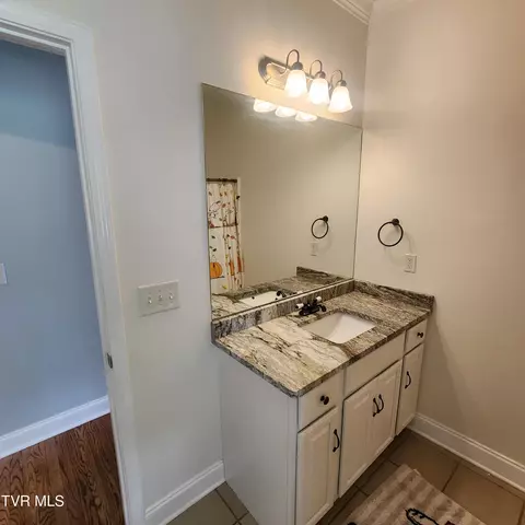 Bath - 194 Sunset Meadows Court Gray Tn 37615, Gray, TN 37615 photo 3 of 6