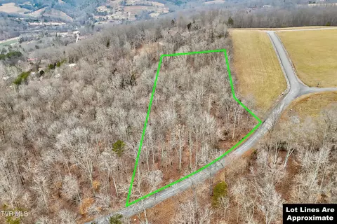 lot306 Sapphire Court New Tazewell Tn 37825, New Tazewell, TN 37825