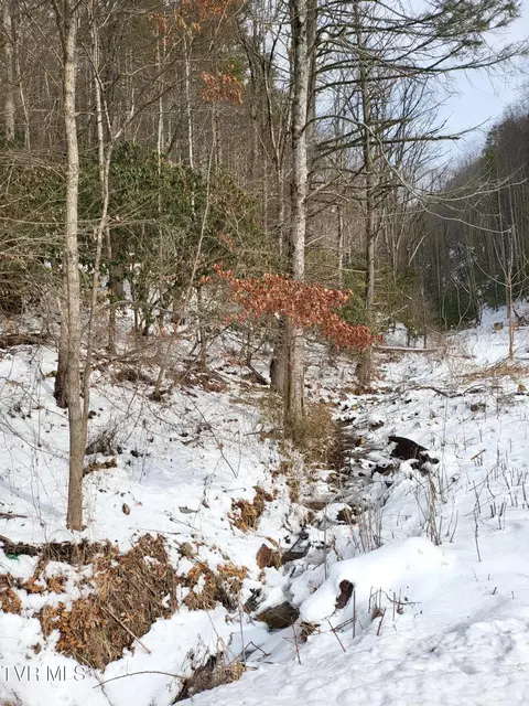 1271 Upper Higgins Cr Road Flag Pond Tn 37657, Flag Pond, TN 37657