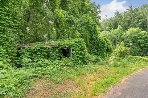 Exterior - 102 Tolley Lane Erwin Tn 37650, Erwin, TN 37650 photo 8 of 8