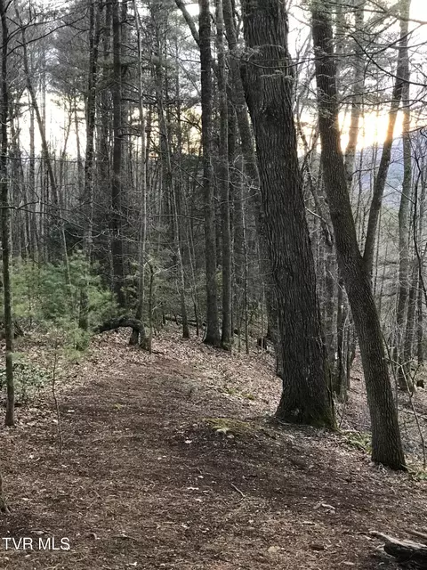 tbd 00 Mohawk Drive Mountain City Tn 37683, Mountain City, TN 37683