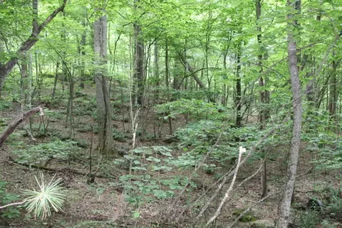 tbd 00 Mohawk Drive Mountain City Tn 37683, Mountain City, TN 37683