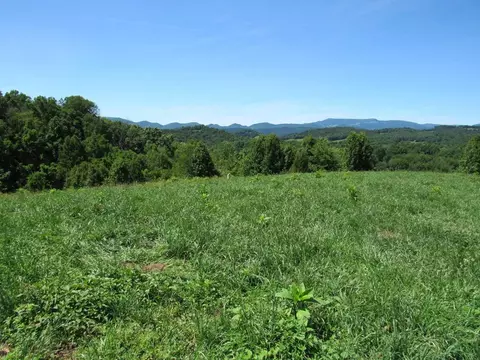 lot5 A Logan Creek Road Meadowview Va 24361, Meadowview, VA 24361
