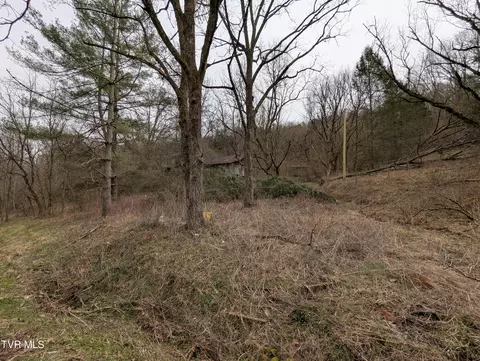 1674 Shavers Ford Road Jonesville Va 24263, Jonesville, VA 24263