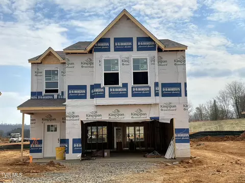 216 Artist Avenue Johnson City Tn 37615, Johnson City, TN 37615