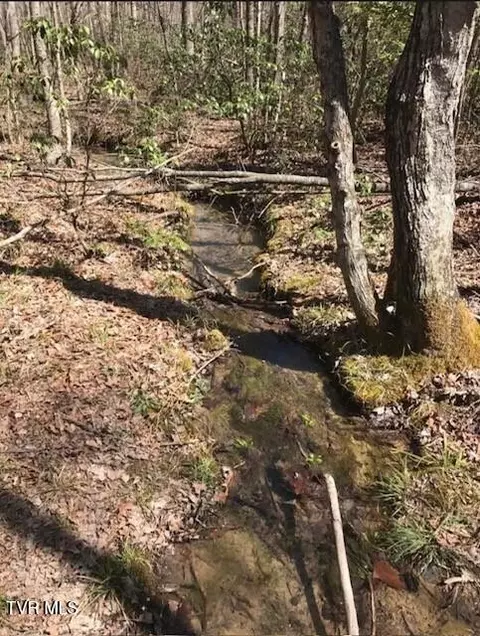897 Parkstown Road Wilder Tn 38589, Wilder, TN 38589