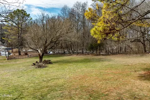 Exterior - 125 Rosebud Lane Gray Tn 37615, Gray, TN 37615 photo 8 of 17