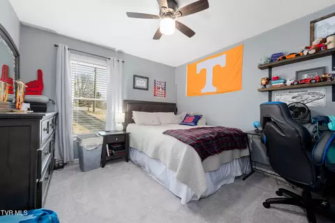 Bedroom - 125 Rosebud Lane Gray Tn 37615, Gray, TN 37615 photo 3 of 6