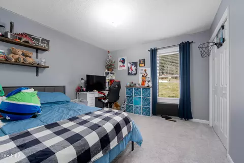Bedroom - 125 Rosebud Lane Gray Tn 37615, Gray, TN 37615 photo 1 of 6