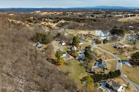 View/Area - 125 Rosebud Lane Gray Tn 37615, Gray, TN 37615 photo 8 of 11