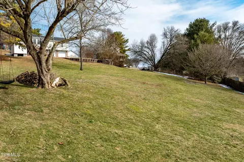 Exterior - 125 Rosebud Lane Gray Tn 37615, Gray, TN 37615 photo 7 of 17