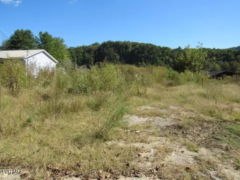 168 Bumpus Cove Road Erwin Tn 37650, Erwin, TN 37650 photo 7