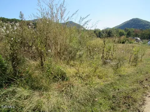 168 Bumpus Cove Road Erwin Tn 37650, Erwin, TN 37650 photo 11