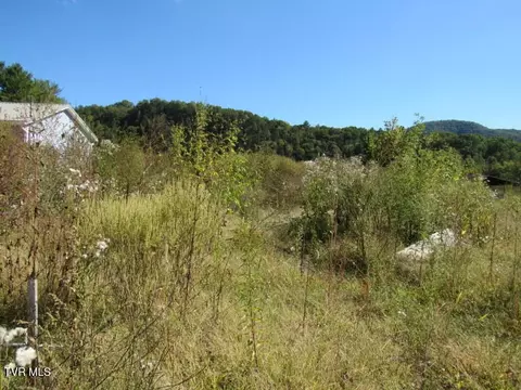 168 Bumpus Cove Road Erwin Tn 37650, Erwin, TN 37650 photo 8